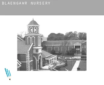 Blaengawr  nursery