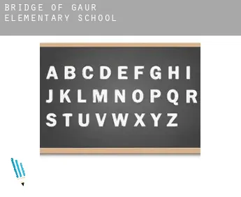 Bridge of Gaur  elementary school