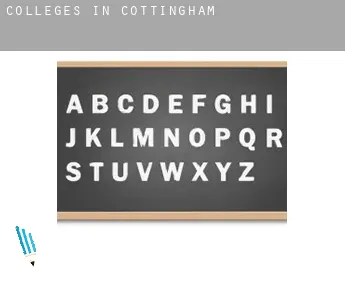 Colleges in  Cottingham