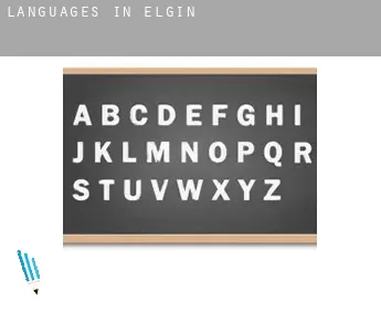 Languages in  Elgin