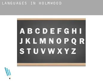 Languages in  Holmwood