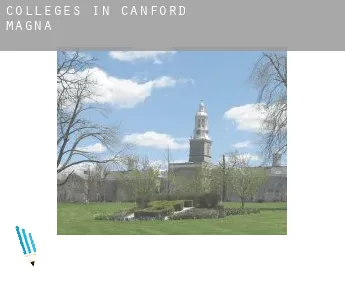 Colleges in  Canford Magna