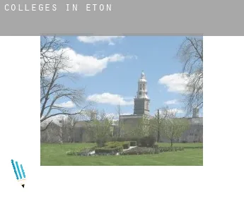 Colleges in  Eton