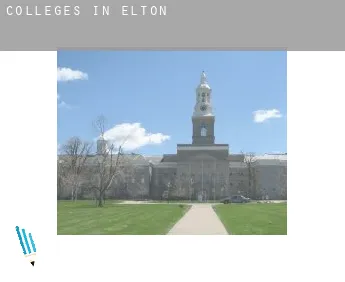 Colleges in  Elton