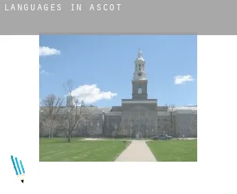 Languages in  Ascot