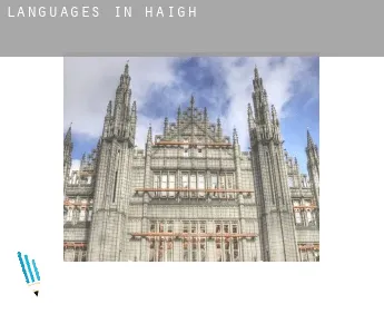 Languages in  Haigh