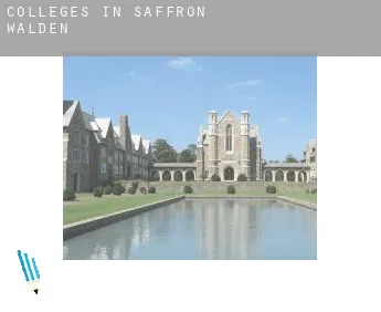 Colleges in  Saffron Walden