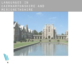 Languages in  Caernarfonshire and Merionethshire