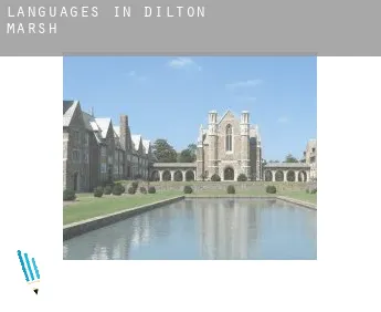 Languages in  Dilton Marsh