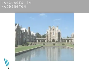 Languages in  Haddington