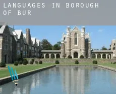 Languages in  Bury (Borough)