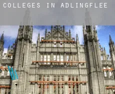 Colleges in  Adlingfleet