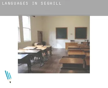 Languages in  Seghill