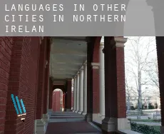 Languages in Other cities in Northern Ireland