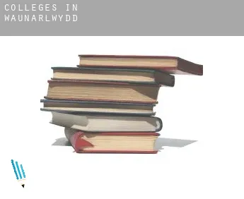 Colleges in  Waunarlwydd
