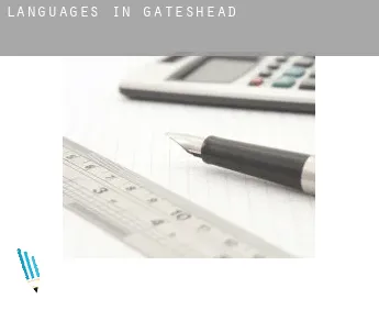 Languages in  Gateshead