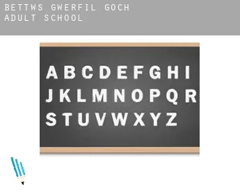 Bettws Gwerfil Goch  adult school