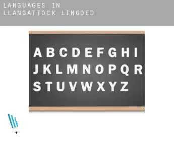 Languages in Llangattock Lingoed