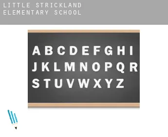 Little Strickland  elementary school