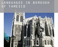 Languages in Tameside (Borough)