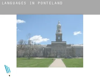 Languages in  Ponteland