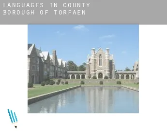 Languages in  Torfaen (County Borough)