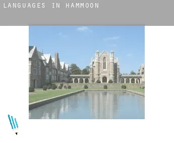 Languages in  Hammoon