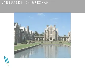 Languages in  Wrexham (Borough)