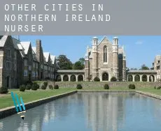 Other cities in Northern Ireland nursery