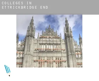 Colleges in  Ettrickbridge End