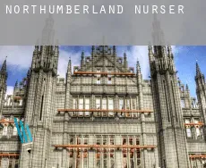 Northumberland  nursery