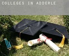 Colleges in  Adderley