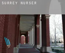 Surrey  nursery