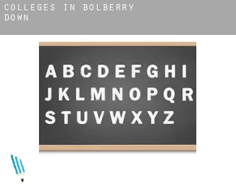 Colleges in  Bolberry Down