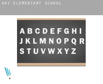 Hay-on-wye  elementary school