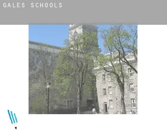 Wales  schools