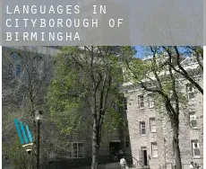 Languages in Birmingham (City and Borough)