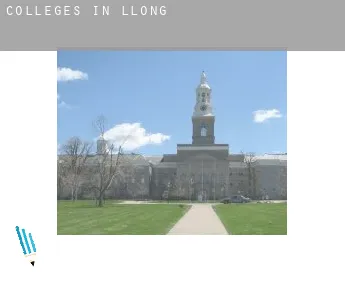 Colleges in  Llong