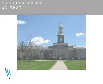 Colleges in  White Waltham