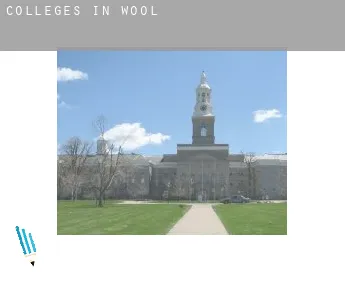 Colleges in  Wool