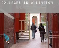 Colleges in  Allington