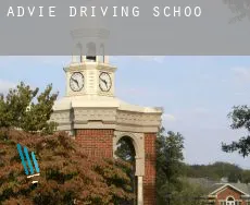Advie  driving school