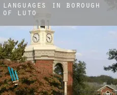 Languages in  Luton (Borough)