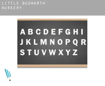 Little Budworth  nursery