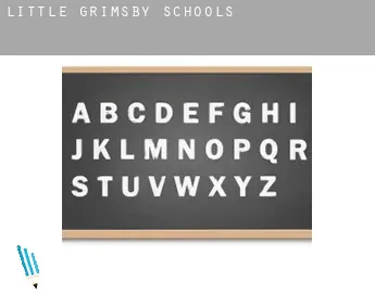 Little Grimsby  schools