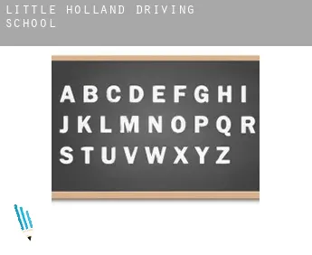 Little Holland driving school