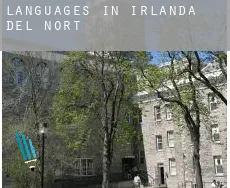 Languages in  Northern Ireland