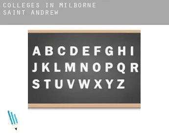 Colleges in  Milborne Saint Andrew