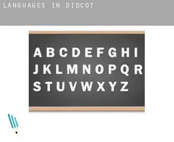 Languages in  Didcot