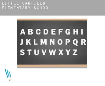 Little Canfield  elementary school